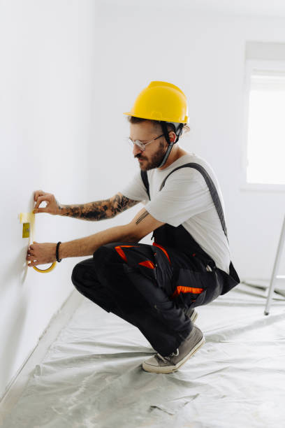 Best Drywall Removal and Disposal  in Diberville, MS